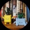 beesandbooks